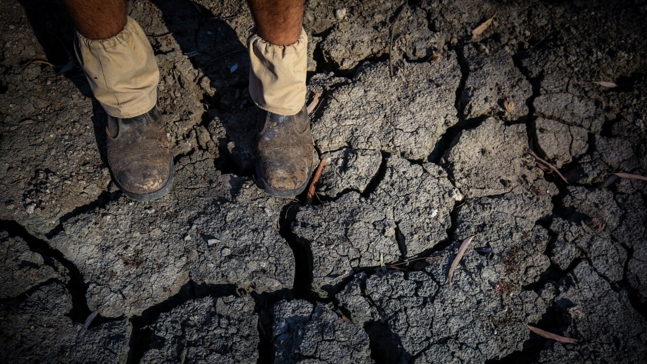 2019 set to be the driest and hottest year on record