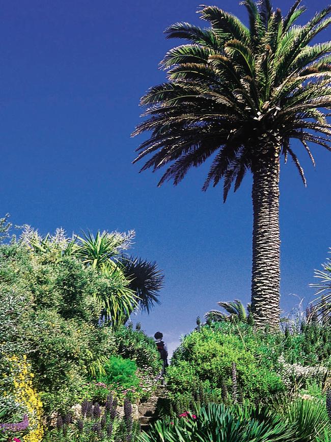 Abbey Garden on Tresco.