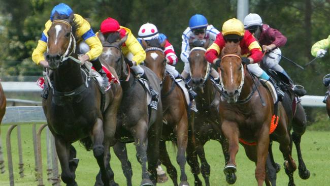 Racing in New South Wales heads to Wyong on Thursday.