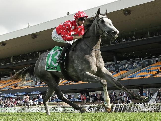 SYDNEY, AUSTRALIA - APRIL 27: Dylan Gibbons riding Martini Mumma wins Race 4 TAB Highway Handicap during Sydney Racing at Rosehill Gardens on April 27, 2024 in Sydney, Australia. (Photo by Jeremy Ng/Getty Images)
