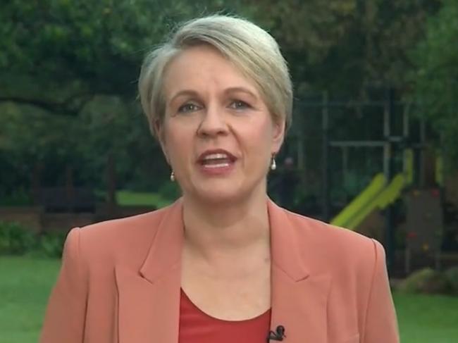 Tanya Plibersek said Joyce’s behaviour was “embarrassing”.