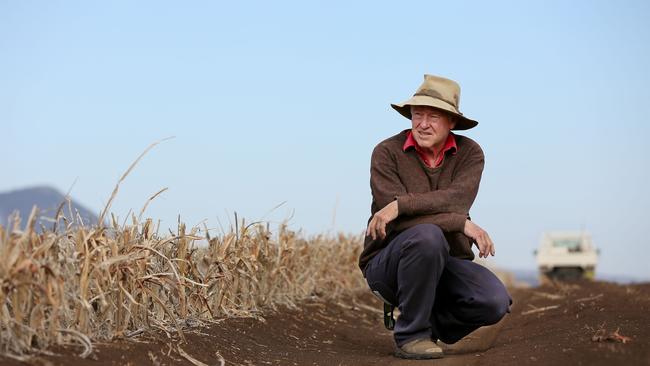 NSW Farmers president Xavier Martin.