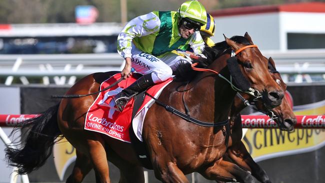 Divine Prophet, ridden by Dwayne Dunn, claims the Group 1 Caulfield Guineas. Picture: Hamish Blair