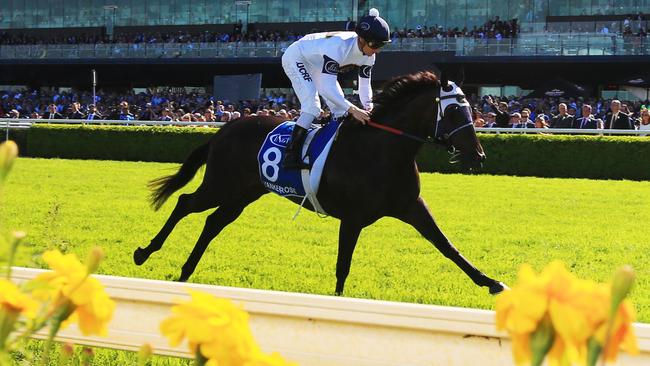Yankee Rose ridden by Zac Purton wins race 6 the Inglis Sires during Day 1 of the Championships at Royal Randwick. pic Jenny Evans