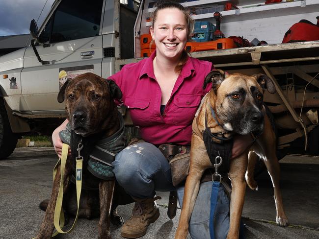 Nominee for Tassie's Best Tradie, Zabreena Menjerovic who also was a football player turned coach with dogs Tank,11 and rocky, 3.  Picture: zak Simmonds