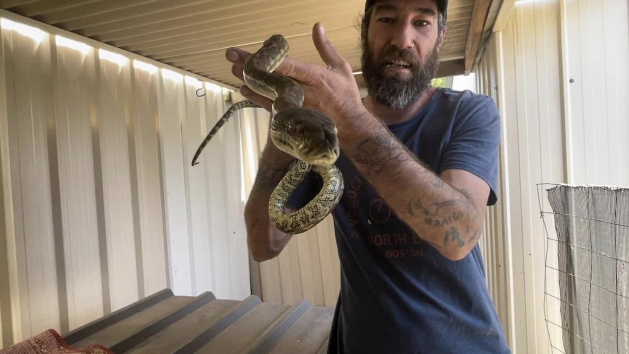 Drew Godfrey from Hervey Bay Snake Catchers