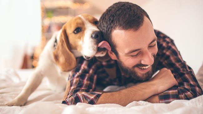 Young smiling man affectionate with his dog  - picture istock