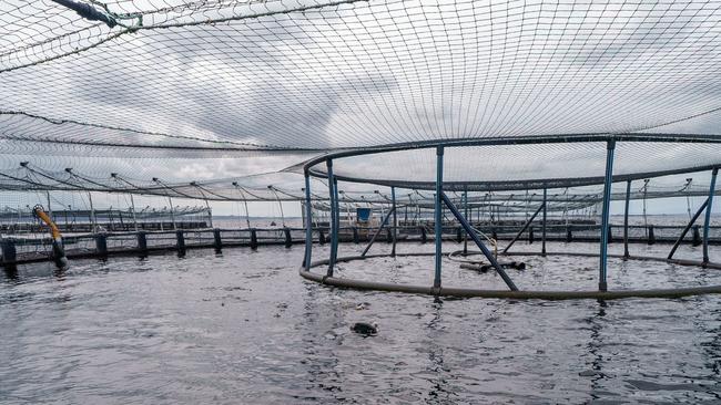 Tassal salmon pens on Macquarie Harbour, Tasmania. Picture: NewsWire