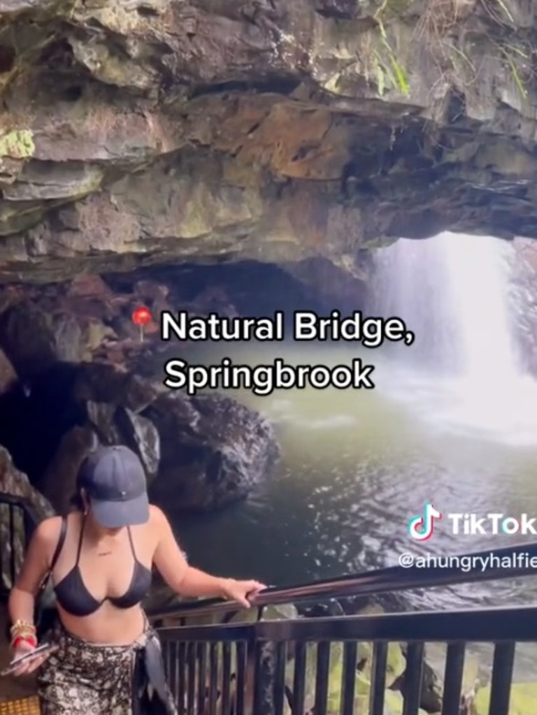 It is located in the western part of Springbrook National Park. Picture: TikTok/ahungryhalfie