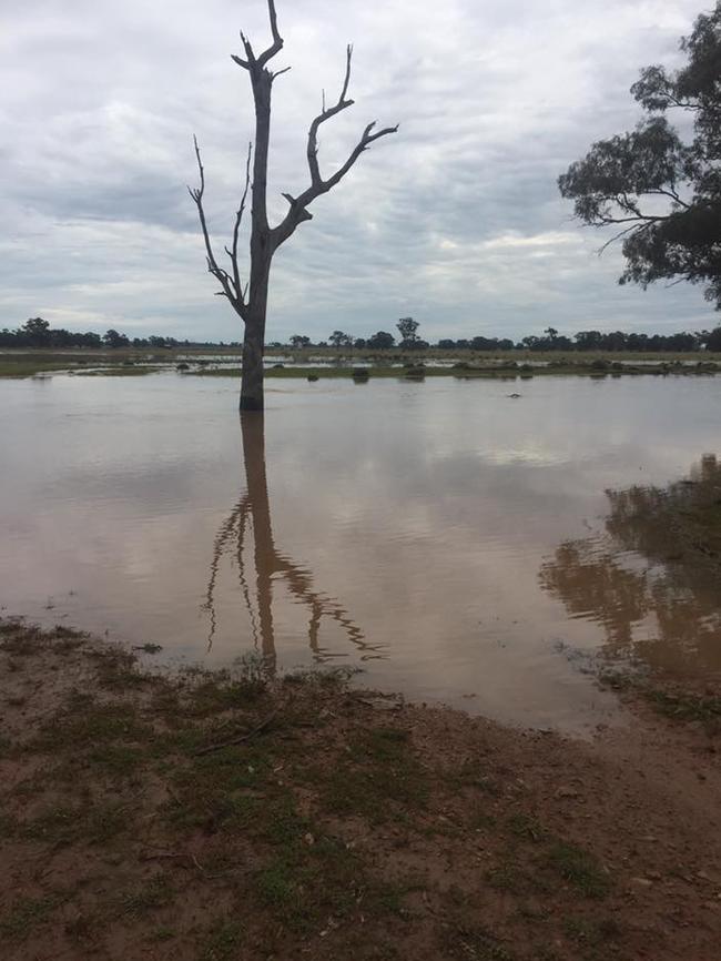 Flooding near Burcher. Picture: Facebook Tiare Jacobs