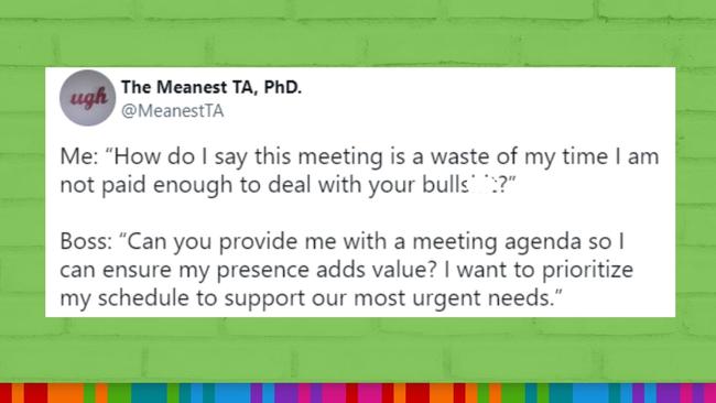 ‘How do I say this meeting is a waste of my time …’ Picture: Twitter / The Meanest TA, PhD