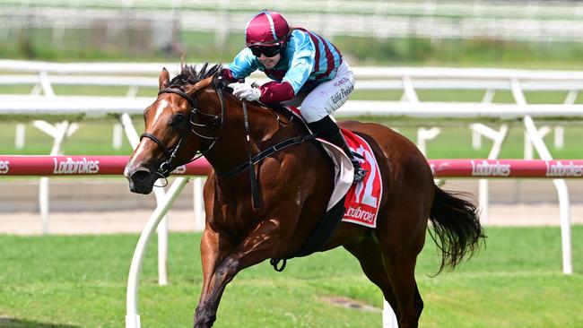 Tahlia Fenlon leads all the way on Navyonthehighway to win at Doomben for trainers Chris and Corey Munce. Picture: Grant Peters - Trackside Photography