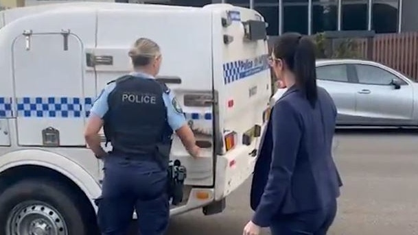 Mees has since been arrested and charged over the incident. Picture: NSW Police