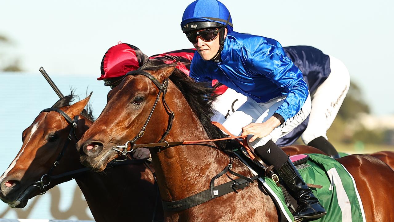 SYDNEY, AUSTRALIA – SEPTEMBER 14: Zac Lloyd riding Traffic Warden wins Race 8 James Squire Run To The Rose during Sydney Racing at Rosehill Gardens on September 14, 2024 in Sydney, Australia. (Photo by Jeremy Ng/Getty Images)