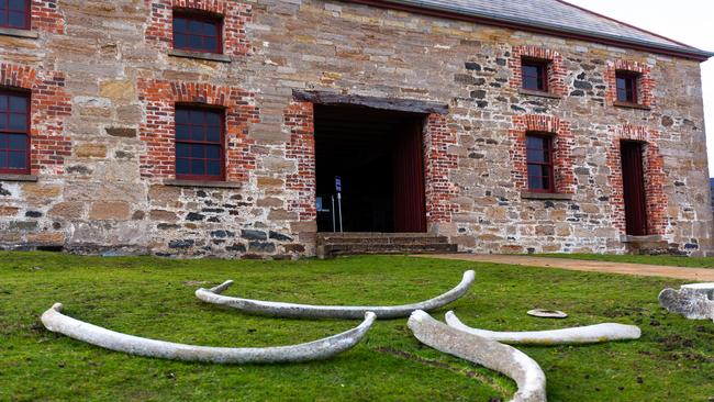 Commissariat Store with Whale Bones Maria Island. Photo: Tim Coad