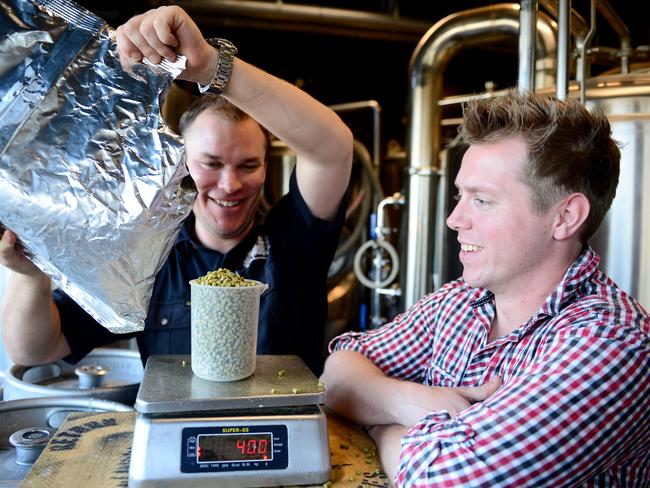 Andrew Tweddell and Bryn Kay weigh the hops. Photo Jeremy Piper