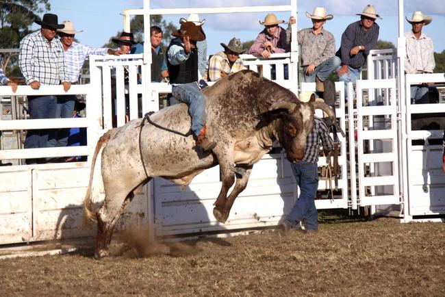Robert Treback hangs on at the Gympie Show Rodeo on Saturday.