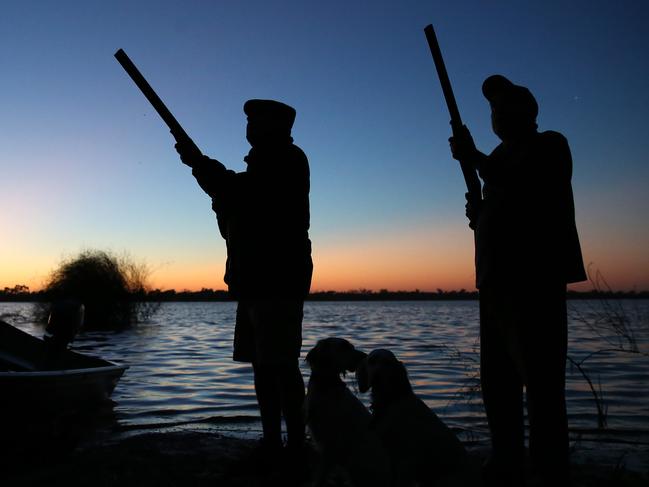 Labor governments in New South Wales, Queensland and Western Australia ended duck hunting decades ago. Picture: Yuri Kouzmin