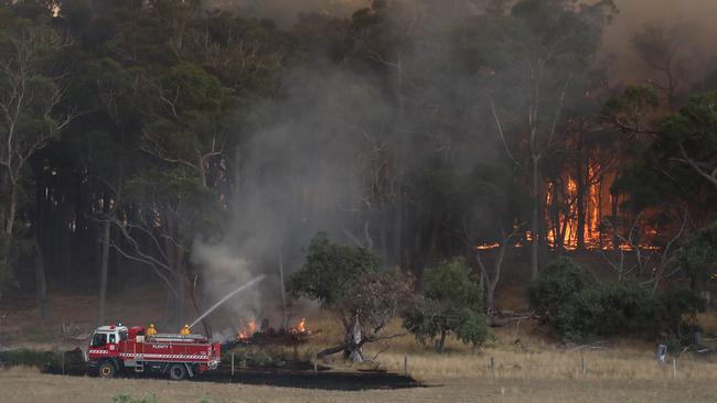 Firefighters on the scene in Bunyip State Park. Picture: Alex Coppel 