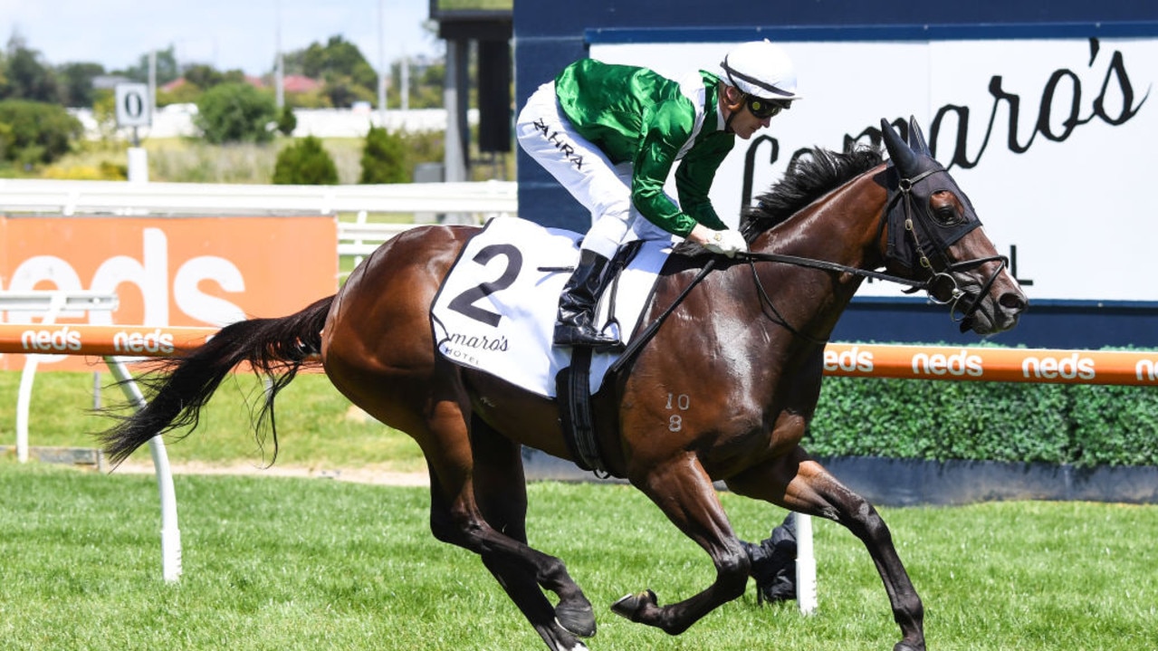 Enthaar ridden by Mark Zahra wins the Lamaro's Hotel Sth Melbourne Chairman's Stakes at Caulfield Racecourse on January 30, 2021 in Caulfield, Australia. (Pat Scala/Racing Photos via Getty Images)
