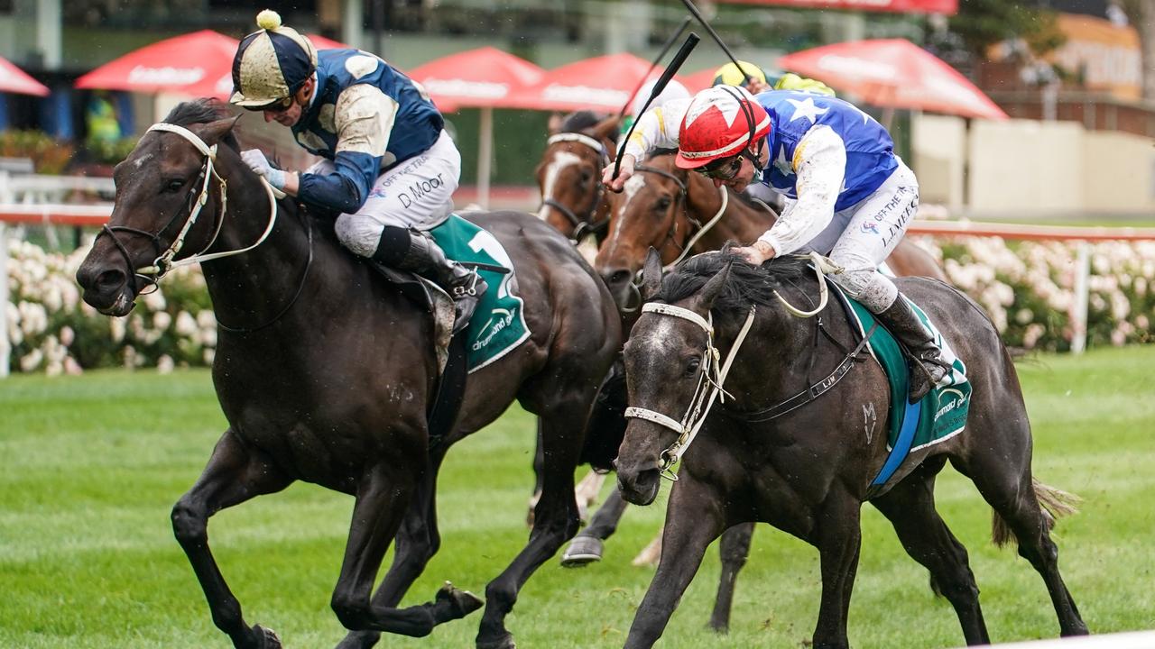 Forgot You (left) is hoping for a big win. (Scott Barbour/Racing Photos via Getty Images)