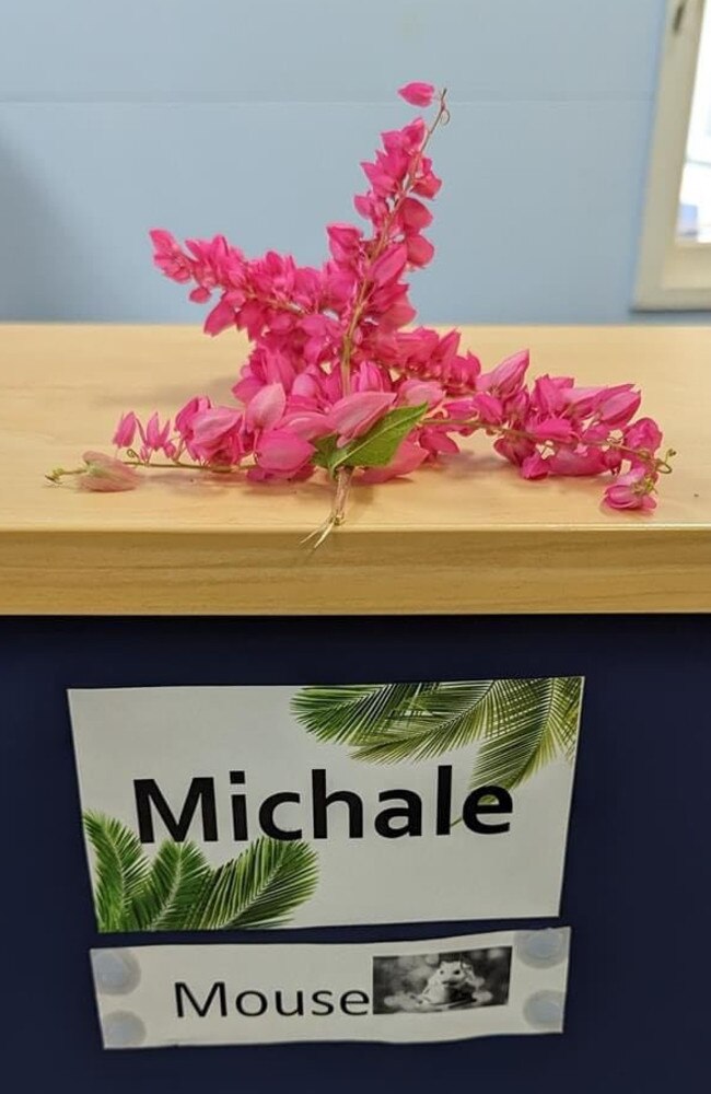 Granville State School paid tribute to the school's physiotherapist, Michale Chandler, in a Facebook post.