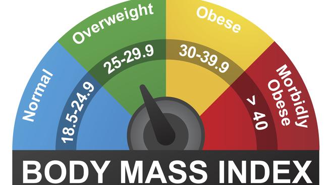 Body Mass Index Infographic Chart