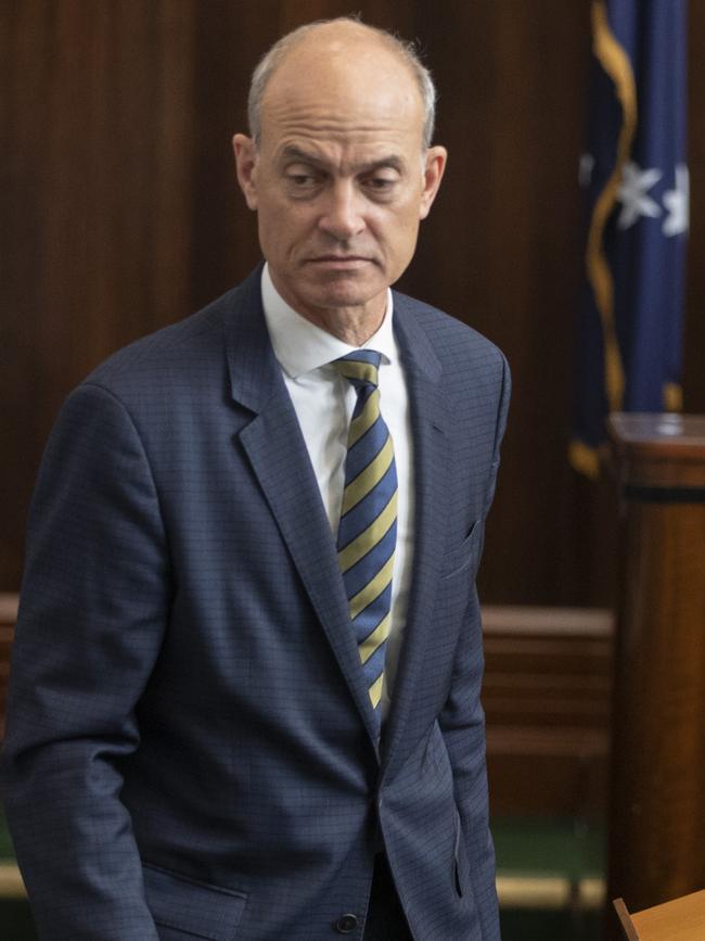 Question time in the Tasmanian parliament, Guy Barnett MP. Picture: Chris Kidd