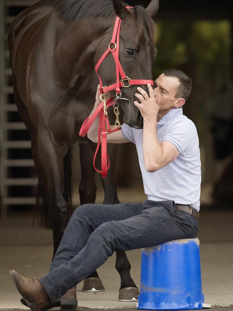 Mystic Journey with trainer Adam Trinder at her Flemington stables before the Cox Plate.