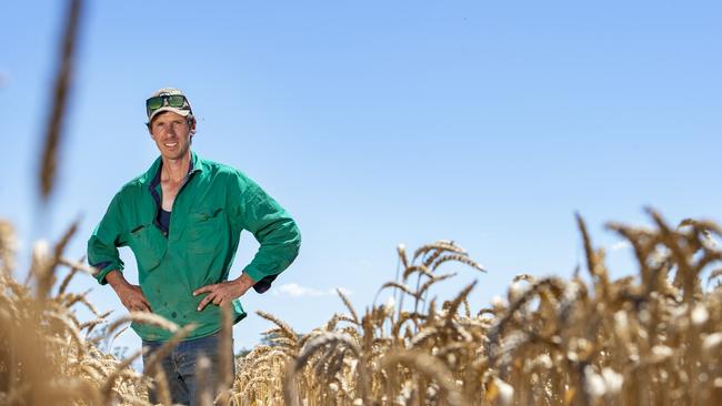 Ton Van Dijk in his winter wheat crop. Picture: Zoe Phillips