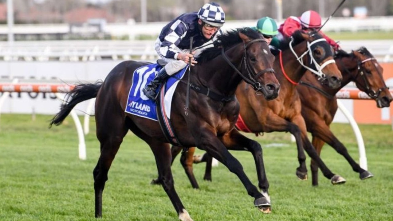 Russian Camelot will be home in his box when Saturday’s Group 1 Futurity Stakes is run at Caulfield. Photo ; Racing Photos via Getty Images.