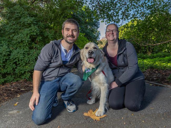 RSPCA SA's Million Paws Walk in Adelaide on May 25, 2025. Picture: Ben Clark