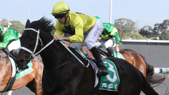 Tony Be scored a good win over the Rosehill 1800m last start and looks tough to beat again. Picture: Grant Guy