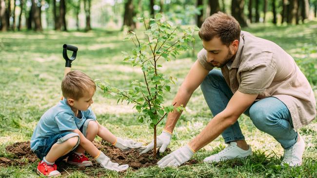 Superannuation funds and institutional investors are showing increasing interest in the green credentials of the companies they invested in, according to GaiaLens.