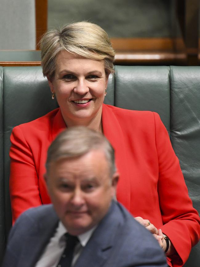 Tanya Plibersek said the report into the JobKeeper payment should be released before next weekend’s Eden-Monaro by-election.