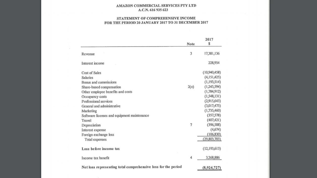 These ASIC documents show Amazon Australia’s huge $8.9 million loss for 2017. Picture: ASIC