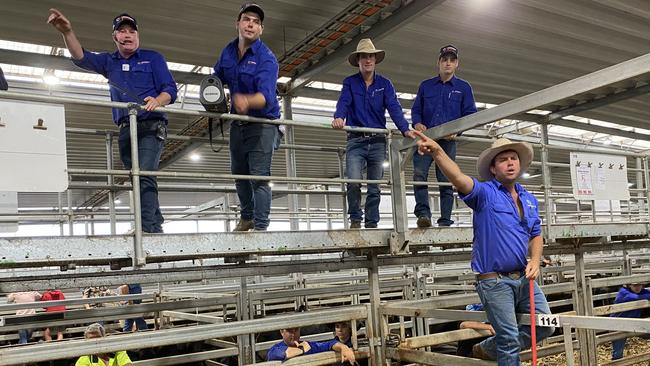 Auctioneers call for bids on weaner cattle on the opening day of the new year calf sales at Wodonga on January 5. Picture: Fiona Myers