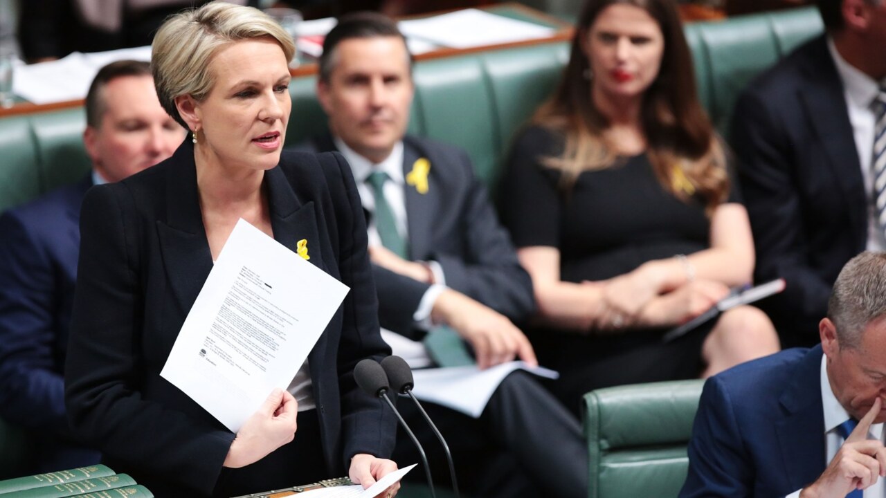 ‘Truly sorry’: Plibersek on the Juukan Gorge Indigenous heritage incident