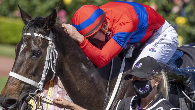 McDonald returns to scale hugging the grand mare. Picture: Racing Photos via Getty Images