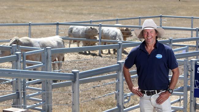 Mount William Charolais sale stud principal Rob Abbott. Picture: Yuri Kouzmin