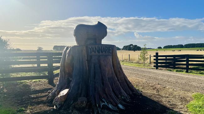 A photo taken of the wooden statue weeks after its head was sawed off and has not yet been found. Picture: Jack Colantuono