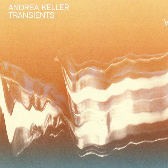 Transients Volume 2, by Andrea Keller.