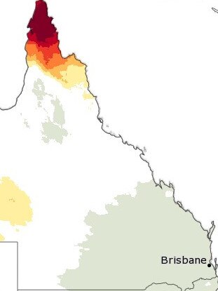 Intense heat dominates the north of the state as thunderstorms rip through the southeast. Picture: Bureau of Meteorology