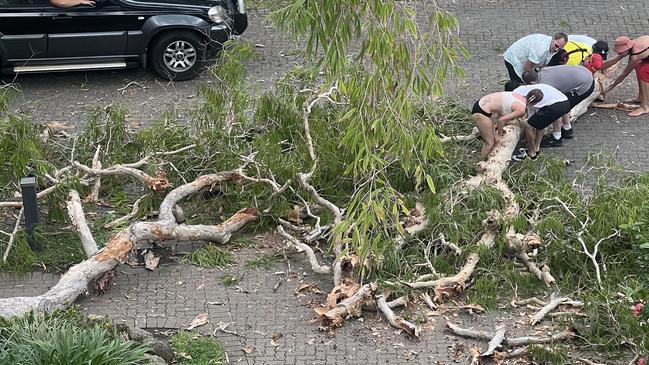 Residents concerned over fallen tree branches in Palm Cove. Picture: Supplied.