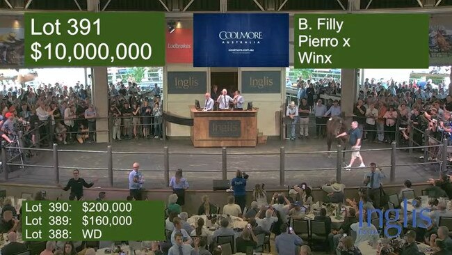 Winx’s first foal sold for a record $10 million at auction on Monday.