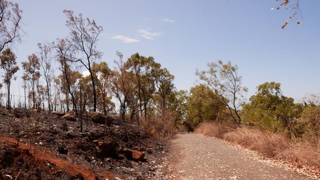 The road leading to a property on Mount Matthew.