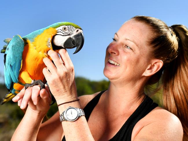 Cherrie Veneman takes her 17 month old Macaw, Blue, down to the Strand and Pallarenda to fly around and say hi to Townsville locals. Picture: Alix Sweeney