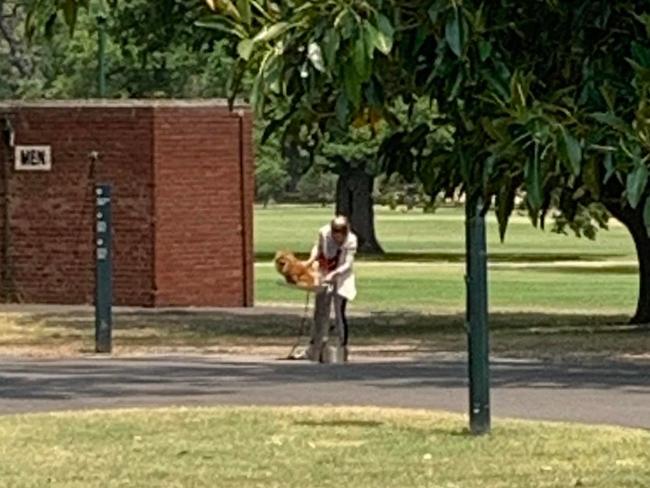 A woman caught washing her dog's bottom in a Melbourne park. Picture: reddit