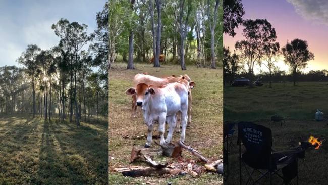 Carlton Farm also welcomes travellers with pets to their bush getaway.