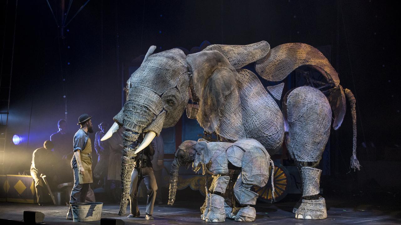 The elephants were the stars of the show.